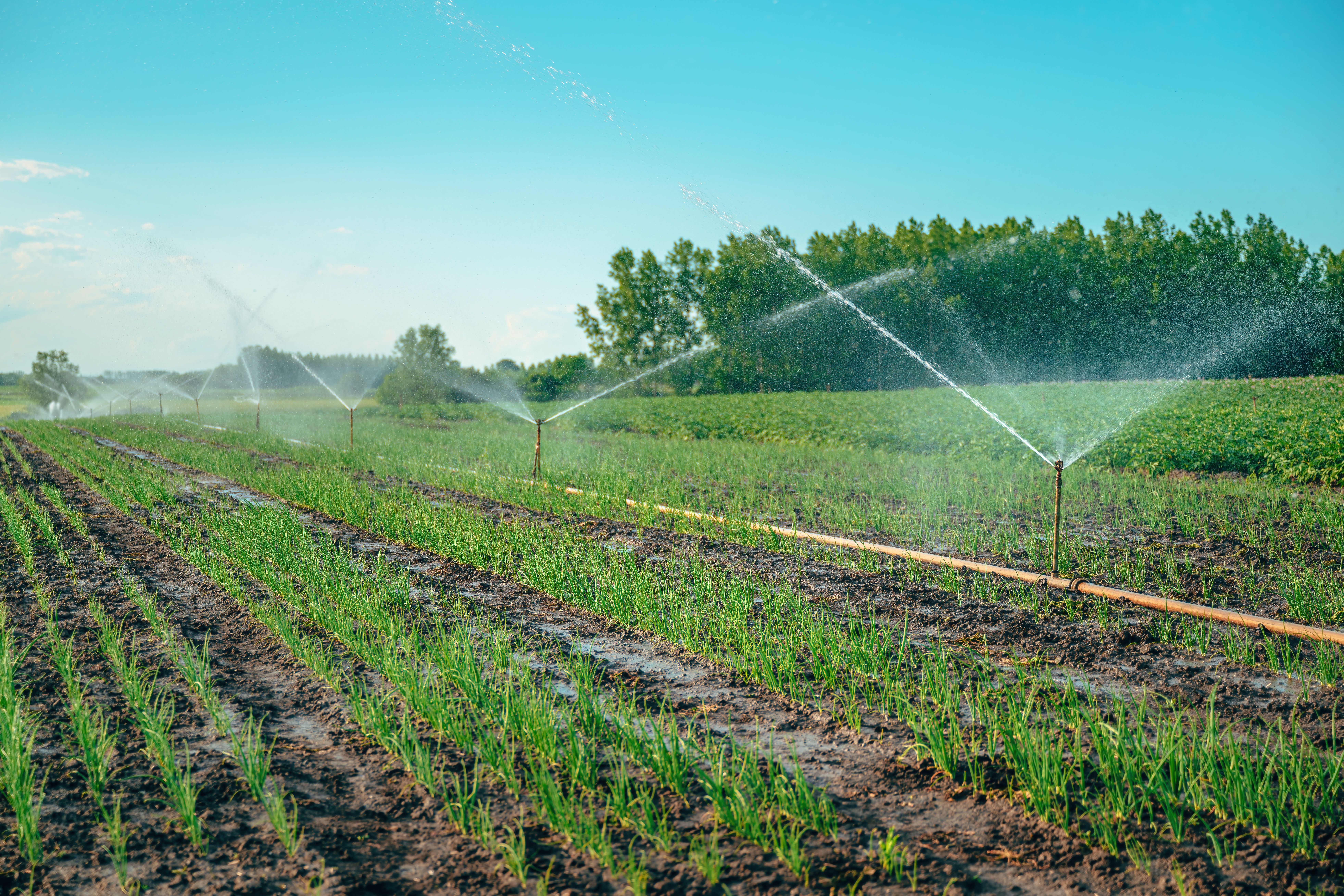 Irrigation System